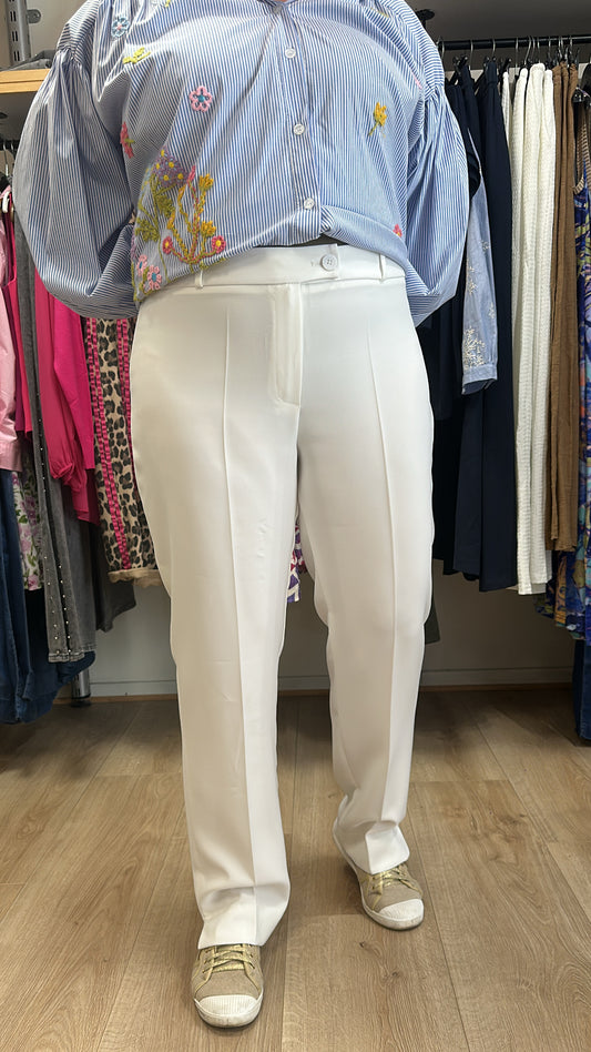 Pantalon tailleur hippocampe